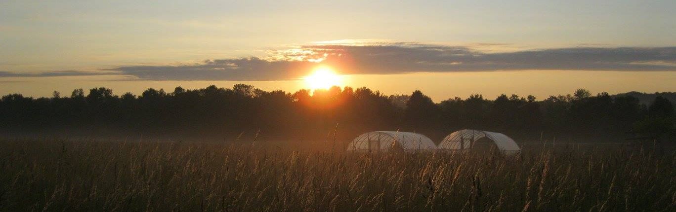 Sunrise with hoop houses